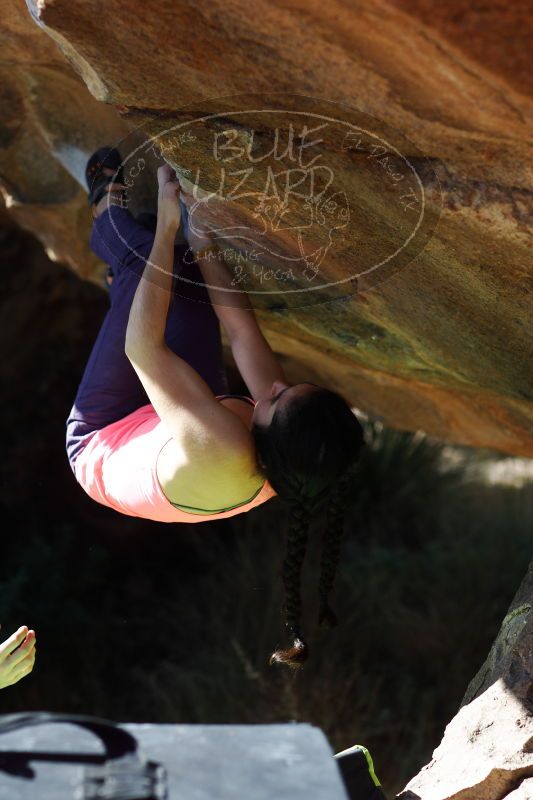 

Filename: SRM_20161226_1334360.jpg
Aperture: f/2.8
Shutter Speed: 1/1000
Body: Canon EOS-1D Mark II
Lens: Canon EF 85mm f/1.2 L II