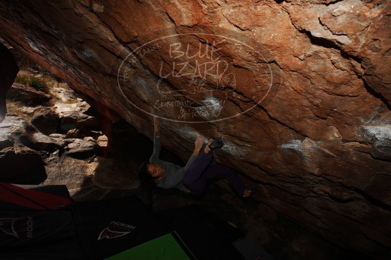 

Filename: SRM_20161226_1437250.jpg
Aperture: f/8.0
Shutter Speed: 1/250
Body: Canon EOS-1D Mark II
Lens: Canon EF 16-35mm f/2.8 L