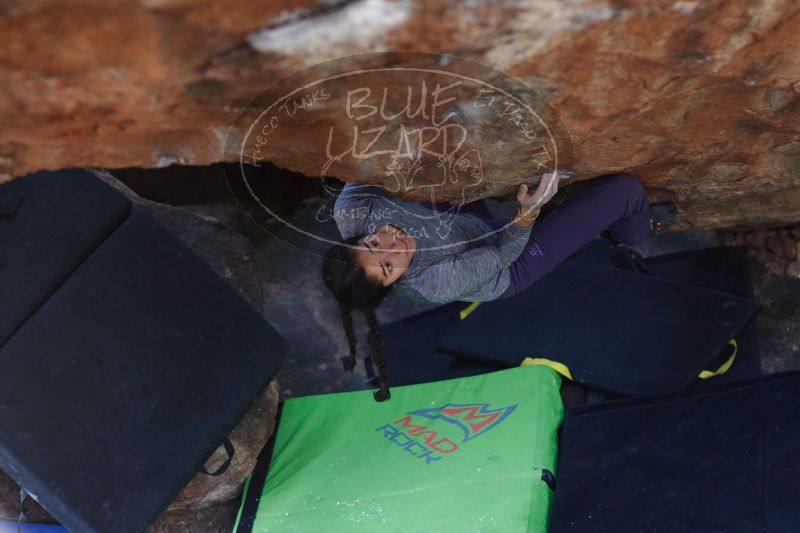 

Filename: SRM_20161226_1508480.jpg
Aperture: f/2.0
Shutter Speed: 1/640
Body: Canon EOS-1D Mark II
Lens: Canon EF 85mm f/1.2 L II