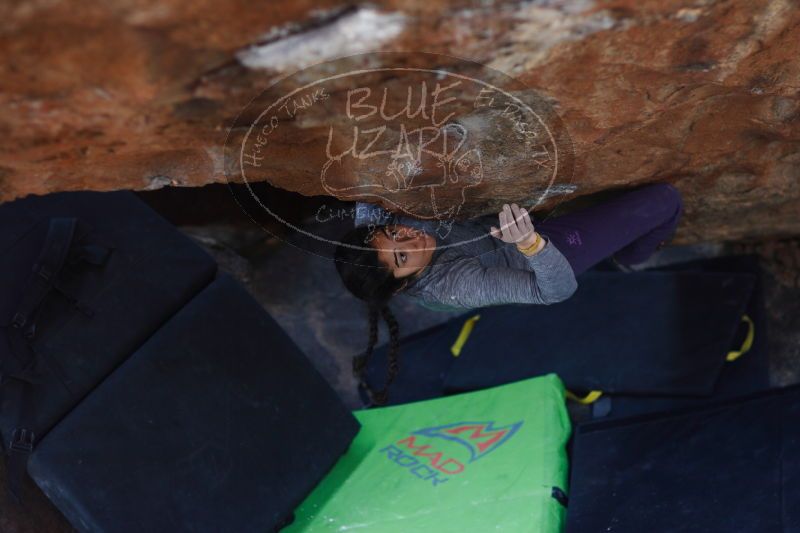 

Filename: SRM_20161226_1511390.jpg
Aperture: f/2.0
Shutter Speed: 1/500
Body: Canon EOS-1D Mark II
Lens: Canon EF 85mm f/1.2 L II