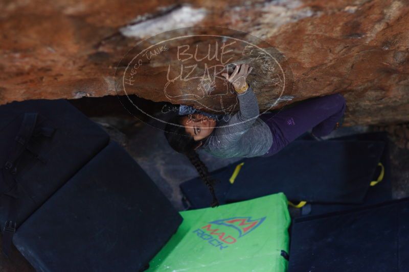 

Filename: SRM_20161226_1511391.jpg
Aperture: f/2.0
Shutter Speed: 1/500
Body: Canon EOS-1D Mark II
Lens: Canon EF 85mm f/1.2 L II