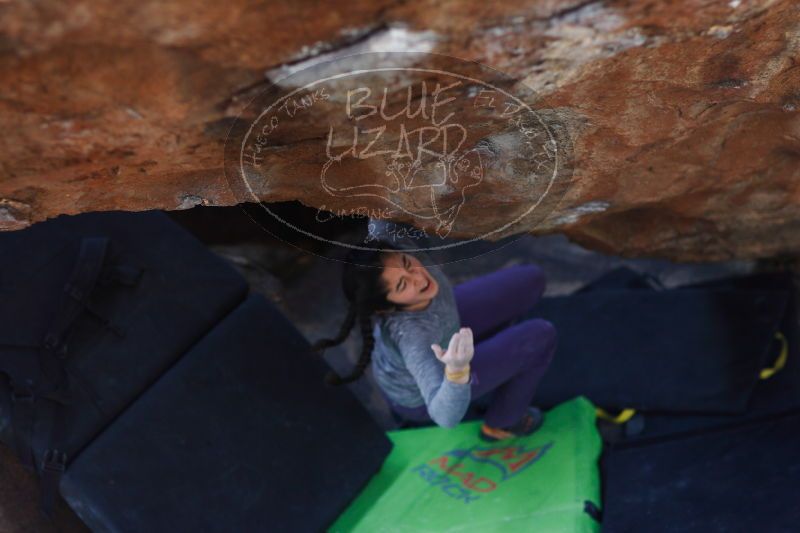 

Filename: SRM_20161226_1511401.jpg
Aperture: f/2.0
Shutter Speed: 1/500
Body: Canon EOS-1D Mark II
Lens: Canon EF 85mm f/1.2 L II