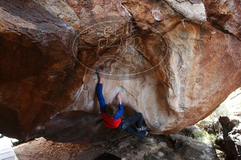 

Filename: SRM_20161226_1605480.jpg
Aperture: f/4.0
Shutter Speed: 1/250
Body: Canon EOS-1D Mark II
Lens: Canon EF 16-35mm f/2.8 L