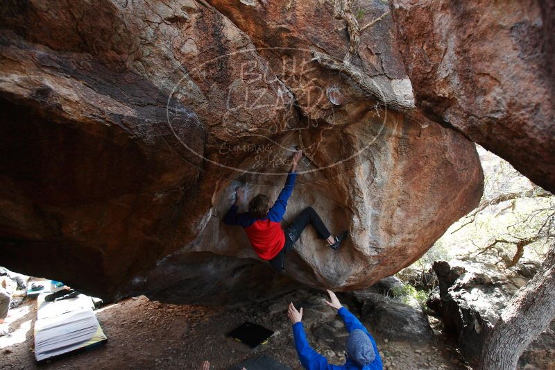 

Filename: SRM_20161226_1605550.jpg
Aperture: f/4.0
Shutter Speed: 1/320
Body: Canon EOS-1D Mark II
Lens: Canon EF 16-35mm f/2.8 L