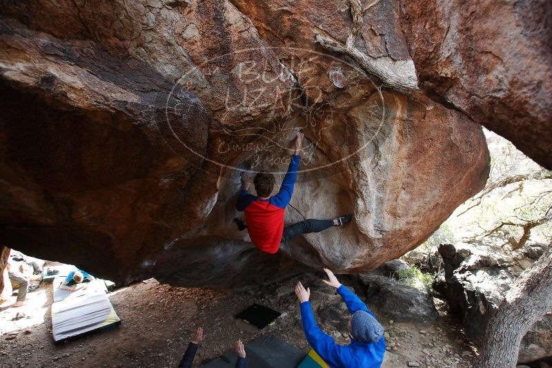 

Filename: SRM_20161226_1605590.jpg
Aperture: f/4.0
Shutter Speed: 1/320
Body: Canon EOS-1D Mark II
Lens: Canon EF 16-35mm f/2.8 L