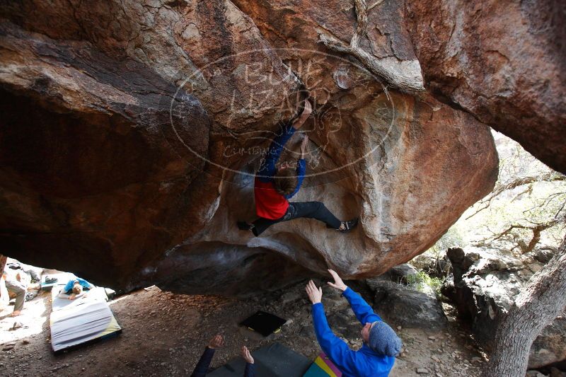 

Filename: SRM_20161226_1606003.jpg
Aperture: f/4.0
Shutter Speed: 1/320
Body: Canon EOS-1D Mark II
Lens: Canon EF 16-35mm f/2.8 L