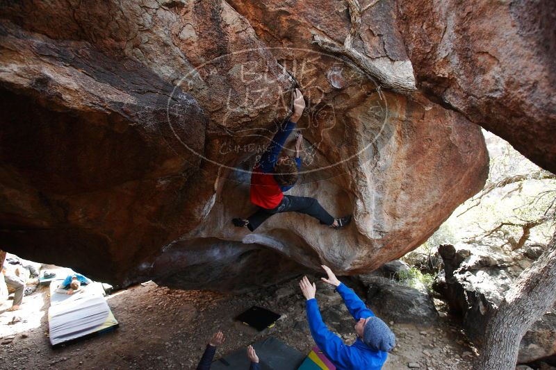 

Filename: SRM_20161226_1606010.jpg
Aperture: f/4.0
Shutter Speed: 1/320
Body: Canon EOS-1D Mark II
Lens: Canon EF 16-35mm f/2.8 L