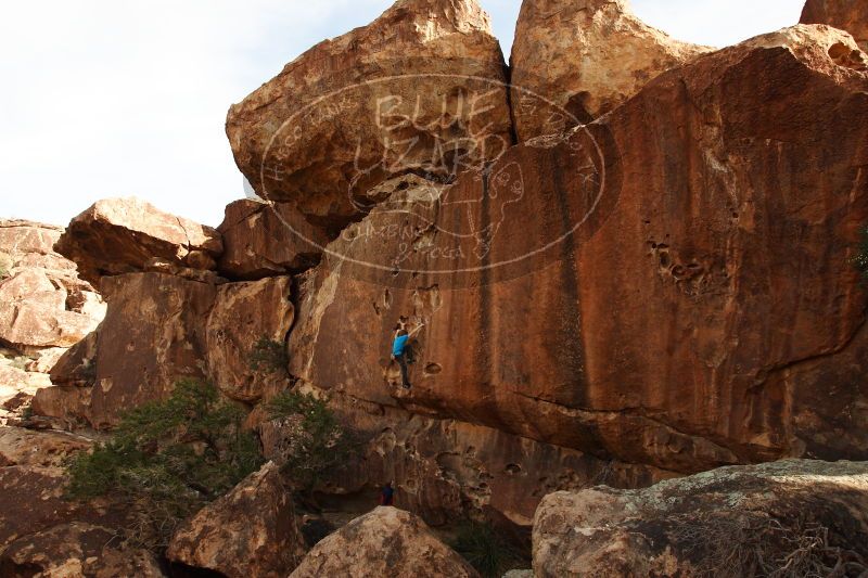 

Filename: SRM_20161226_1640071.jpg
Aperture: f/5.6
Shutter Speed: 1/640
Body: Canon EOS-1D Mark II
Lens: Canon EF 16-35mm f/2.8 L