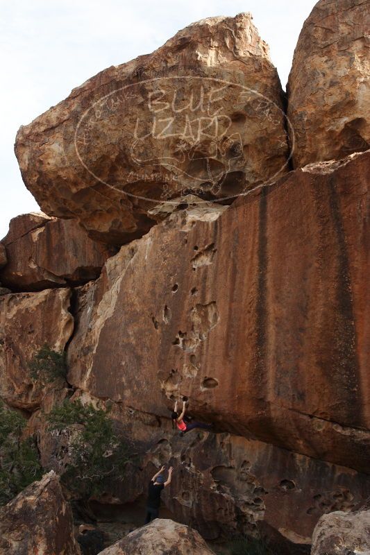 

Filename: SRM_20161226_1646460.jpg
Aperture: f/5.6
Shutter Speed: 1/500
Body: Canon EOS-1D Mark II
Lens: Canon EF 16-35mm f/2.8 L