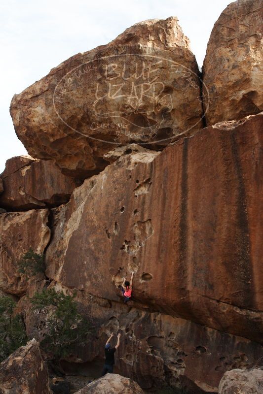 

Filename: SRM_20161226_1646530.jpg
Aperture: f/5.6
Shutter Speed: 1/500
Body: Canon EOS-1D Mark II
Lens: Canon EF 16-35mm f/2.8 L