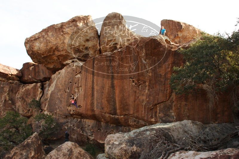 

Filename: SRM_20161226_1647080.jpg
Aperture: f/5.6
Shutter Speed: 1/400
Body: Canon EOS-1D Mark II
Lens: Canon EF 16-35mm f/2.8 L