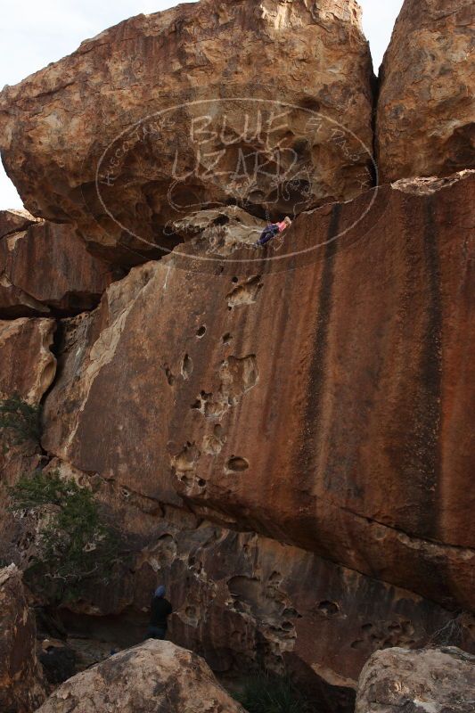 

Filename: SRM_20161226_1648251.jpg
Aperture: f/5.6
Shutter Speed: 1/500
Body: Canon EOS-1D Mark II
Lens: Canon EF 16-35mm f/2.8 L