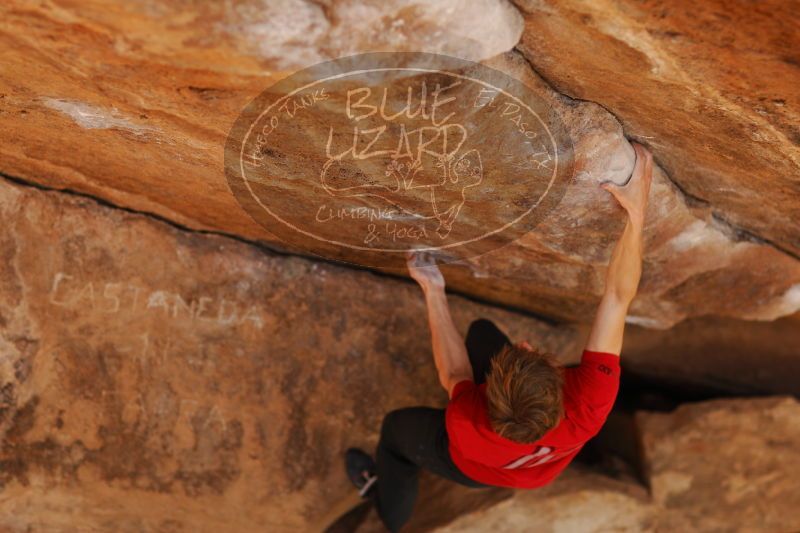 

Filename: SRM_20161226_1738070.jpg
Aperture: f/2.0
Shutter Speed: 1/640
Body: Canon EOS-1D Mark II
Lens: Canon EF 85mm f/1.2 L II