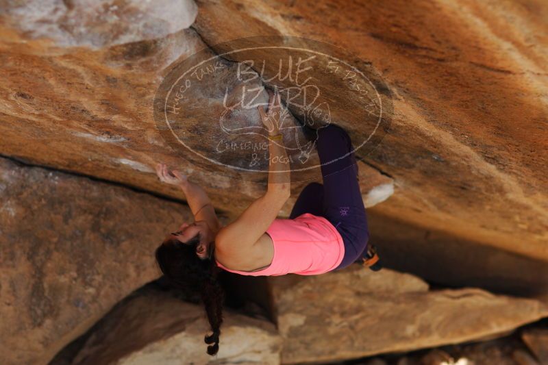 

Filename: SRM_20161226_1746040.jpg
Aperture: f/2.0
Shutter Speed: 1/1000
Body: Canon EOS-1D Mark II
Lens: Canon EF 85mm f/1.2 L II