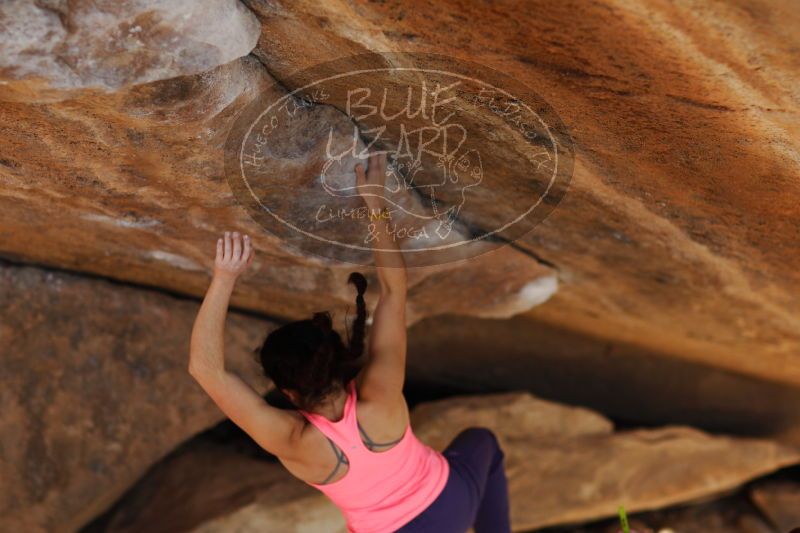 

Filename: SRM_20161226_1746122.jpg
Aperture: f/2.0
Shutter Speed: 1/1000
Body: Canon EOS-1D Mark II
Lens: Canon EF 85mm f/1.2 L II