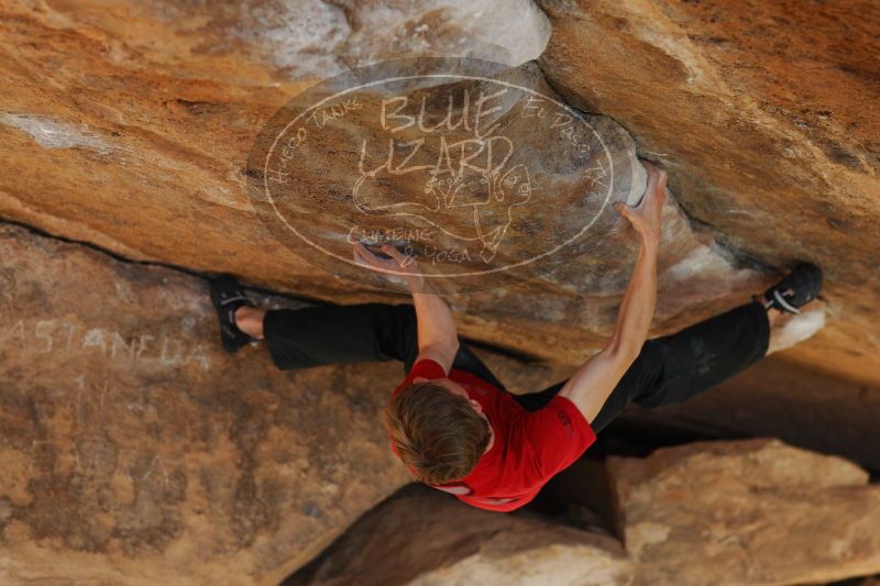 

Filename: SRM_20161226_1751360.jpg
Aperture: f/2.8
Shutter Speed: 1/400
Body: Canon EOS-1D Mark II
Lens: Canon EF 85mm f/1.2 L II