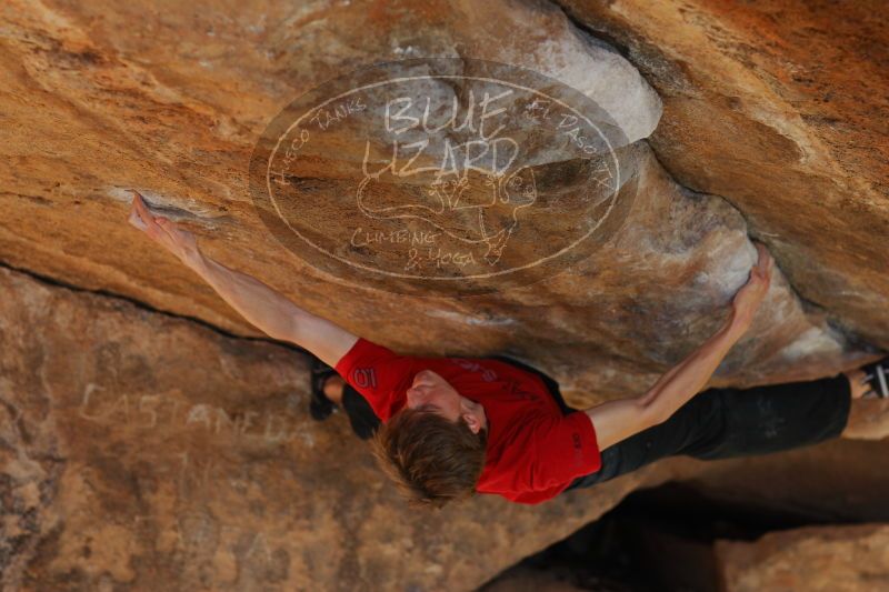 

Filename: SRM_20161226_1751370.jpg
Aperture: f/2.8
Shutter Speed: 1/500
Body: Canon EOS-1D Mark II
Lens: Canon EF 85mm f/1.2 L II