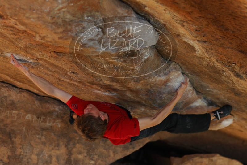 

Filename: SRM_20161226_1752391.jpg
Aperture: f/2.8
Shutter Speed: 1/500
Body: Canon EOS-1D Mark II
Lens: Canon EF 85mm f/1.2 L II