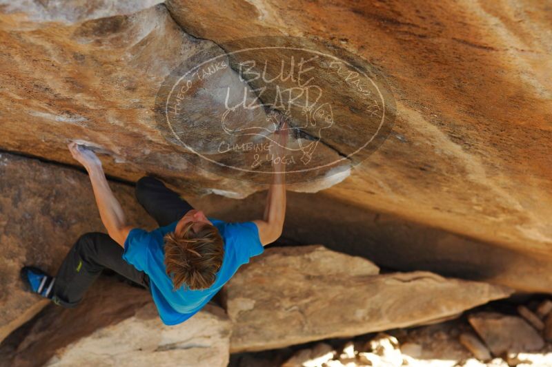 

Filename: SRM_20161226_1754330.jpg
Aperture: f/2.8
Shutter Speed: 1/320
Body: Canon EOS-1D Mark II
Lens: Canon EF 85mm f/1.2 L II