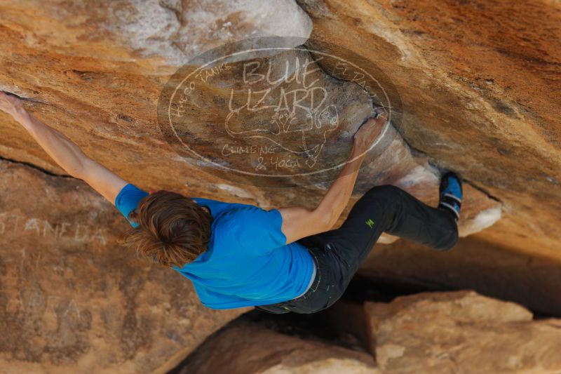 

Filename: SRM_20161226_1754472.jpg
Aperture: f/2.8
Shutter Speed: 1/400
Body: Canon EOS-1D Mark II
Lens: Canon EF 85mm f/1.2 L II