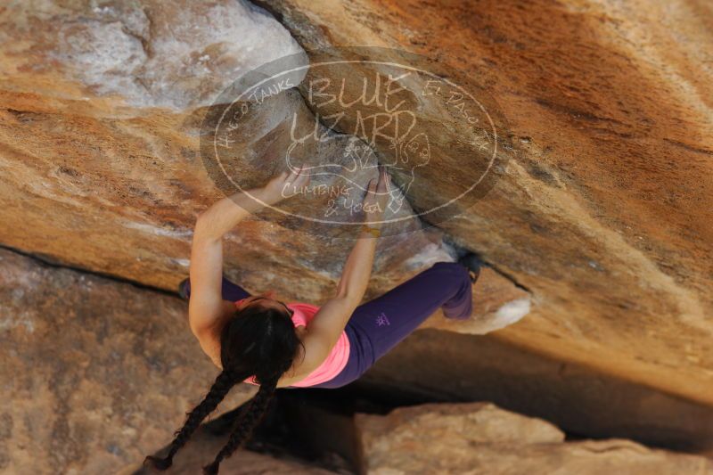 

Filename: SRM_20161226_1757280.jpg
Aperture: f/2.8
Shutter Speed: 1/320
Body: Canon EOS-1D Mark II
Lens: Canon EF 85mm f/1.2 L II