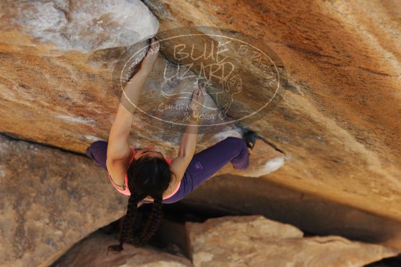 

Filename: SRM_20161226_1757281.jpg
Aperture: f/2.8
Shutter Speed: 1/320
Body: Canon EOS-1D Mark II
Lens: Canon EF 85mm f/1.2 L II