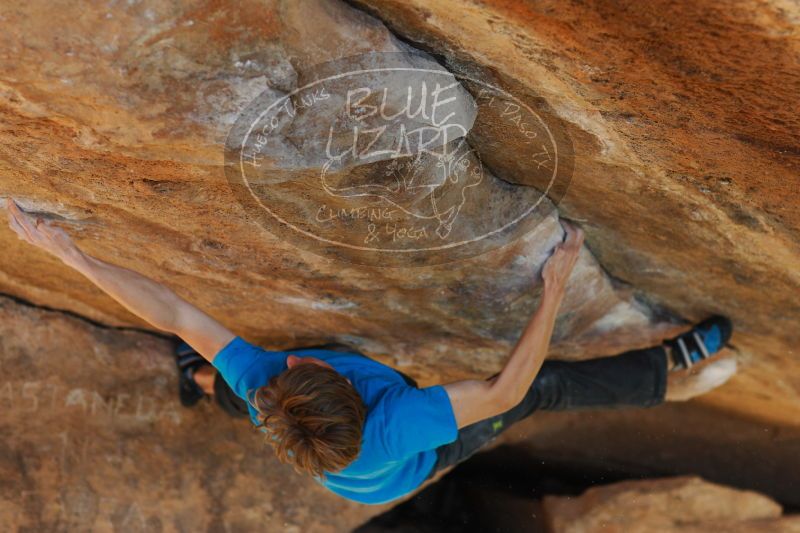 

Filename: SRM_20161226_1808572.jpg
Aperture: f/2.8
Shutter Speed: 1/320
Body: Canon EOS-1D Mark II
Lens: Canon EF 85mm f/1.2 L II