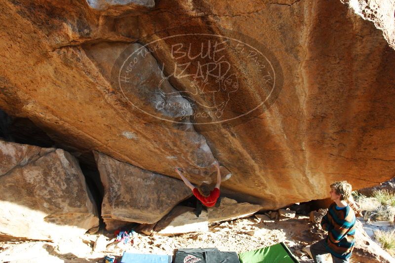 

Filename: SRM_20161226_1815490.jpg
Aperture: f/5.6
Shutter Speed: 1/400
Body: Canon EOS-1D Mark II
Lens: Canon EF 16-35mm f/2.8 L