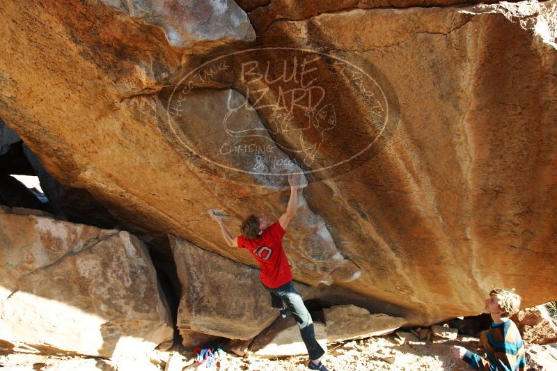 

Filename: SRM_20161226_1816030.jpg
Aperture: f/5.6
Shutter Speed: 1/320
Body: Canon EOS-1D Mark II
Lens: Canon EF 16-35mm f/2.8 L