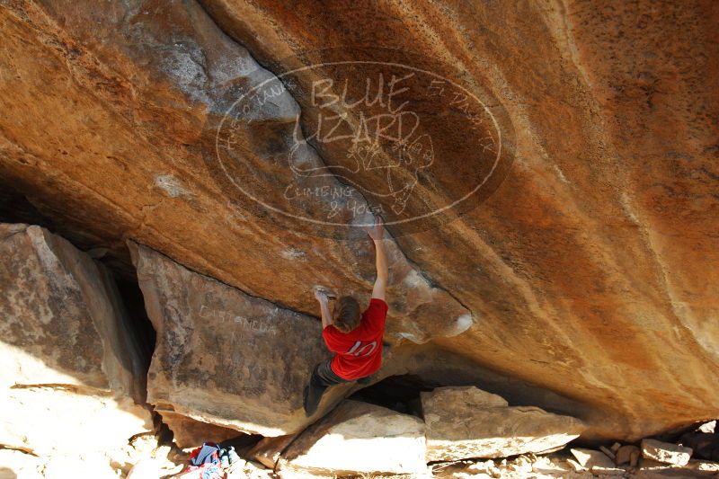 

Filename: SRM_20161226_1822020.jpg
Aperture: f/5.6
Shutter Speed: 1/320
Body: Canon EOS-1D Mark II
Lens: Canon EF 16-35mm f/2.8 L