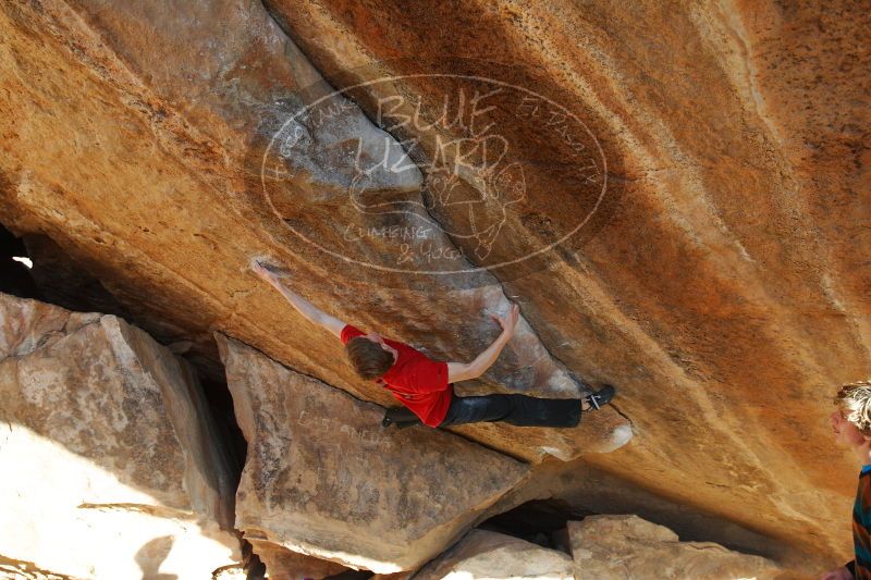 

Filename: SRM_20161226_1822082.jpg
Aperture: f/5.6
Shutter Speed: 1/250
Body: Canon EOS-1D Mark II
Lens: Canon EF 16-35mm f/2.8 L