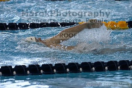 

Filename: crw_2128_std.jpg
Aperture: f/3.5
Shutter Speed: 1/320
Body: Canon EOS DIGITAL REBEL
Lens: Canon EF 80-200mm f/2.8 L