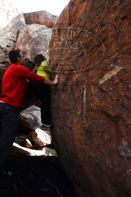 

Filename: SRM_20161228_1213060.jpg
Aperture: f/4.0
Shutter Speed: 1/500
Body: Canon EOS-1D Mark II
Lens: Canon EF 16-35mm f/2.8 L