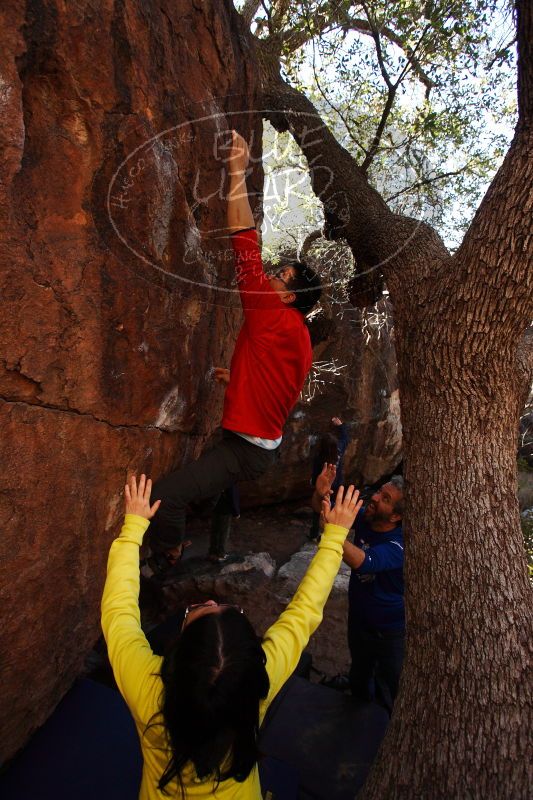 

Filename: SRM_20161228_1229270.jpg
Aperture: f/4.0
Shutter Speed: 1/800
Body: Canon EOS-1D Mark II
Lens: Canon EF 16-35mm f/2.8 L