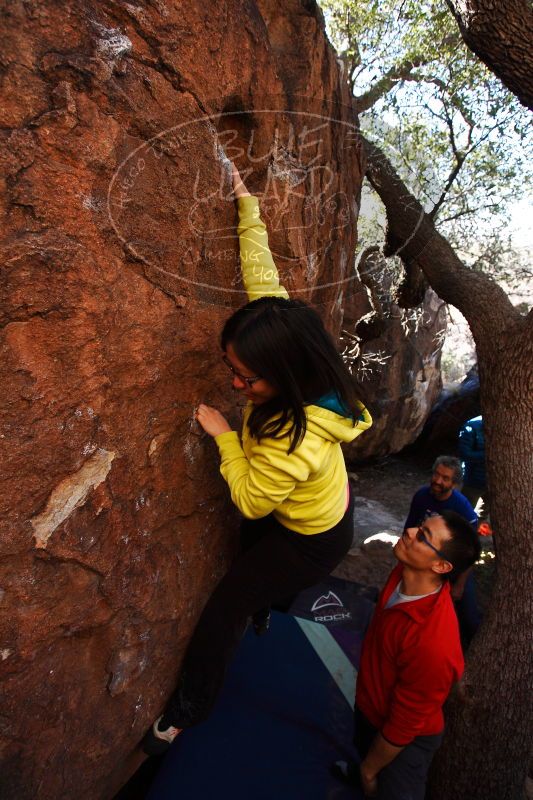

Filename: SRM_20161228_1231110.jpg
Aperture: f/4.0
Shutter Speed: 1/500
Body: Canon EOS-1D Mark II
Lens: Canon EF 16-35mm f/2.8 L