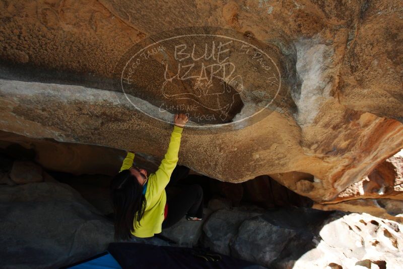 

Filename: SRM_20161228_1412250.jpg
Aperture: f/5.6
Shutter Speed: 1/640
Body: Canon EOS-1D Mark II
Lens: Canon EF 16-35mm f/2.8 L