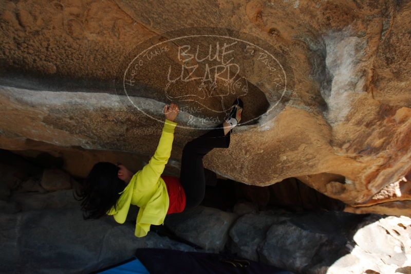 

Filename: SRM_20161228_1412280.jpg
Aperture: f/5.6
Shutter Speed: 1/640
Body: Canon EOS-1D Mark II
Lens: Canon EF 16-35mm f/2.8 L