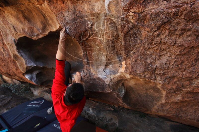 

Filename: SRM_20161228_1509342.jpg
Aperture: f/5.6
Shutter Speed: 1/250
Body: Canon EOS-1D Mark II
Lens: Canon EF 16-35mm f/2.8 L