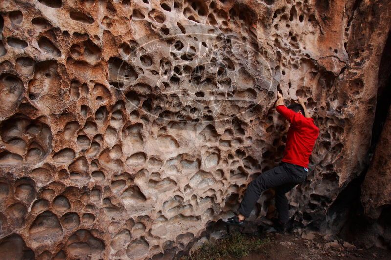 

Filename: SRM_20161228_1614310.jpg
Aperture: f/4.0
Shutter Speed: 1/100
Body: Canon EOS-1D Mark II
Lens: Canon EF 16-35mm f/2.8 L