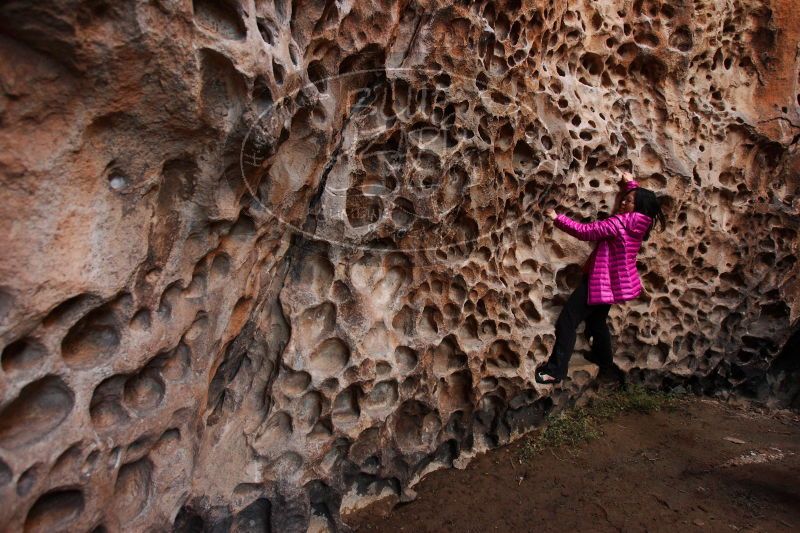 

Filename: SRM_20161228_1621550.jpg
Aperture: f/4.0
Shutter Speed: 1/100
Body: Canon EOS-1D Mark II
Lens: Canon EF 16-35mm f/2.8 L