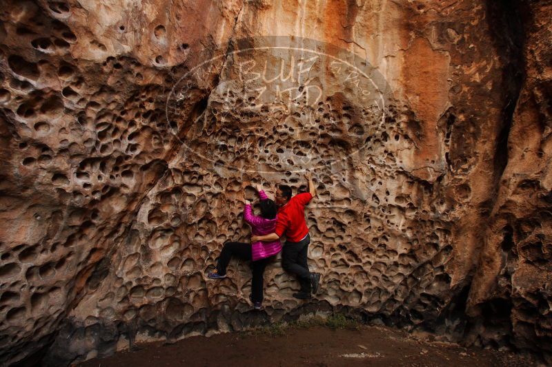 

Filename: SRM_20161228_1634040.jpg
Aperture: f/5.0
Shutter Speed: 1/60
Body: Canon EOS-1D Mark II
Lens: Canon EF 16-35mm f/2.8 L