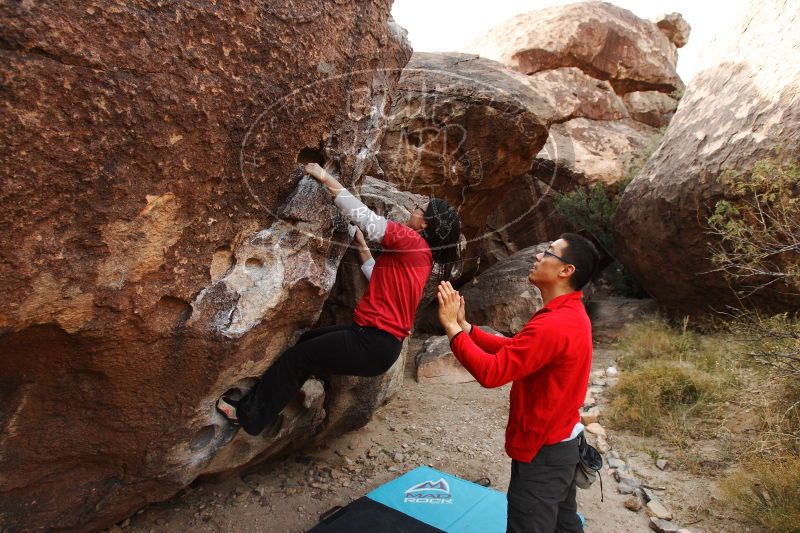 

Filename: SRM_20161228_1729370.jpg
Aperture: f/5.0
Shutter Speed: 1/320
Body: Canon EOS-1D Mark II
Lens: Canon EF 16-35mm f/2.8 L