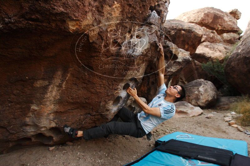 

Filename: SRM_20161228_1732322.jpg
Aperture: f/5.0
Shutter Speed: 1/250
Body: Canon EOS-1D Mark II
Lens: Canon EF 16-35mm f/2.8 L