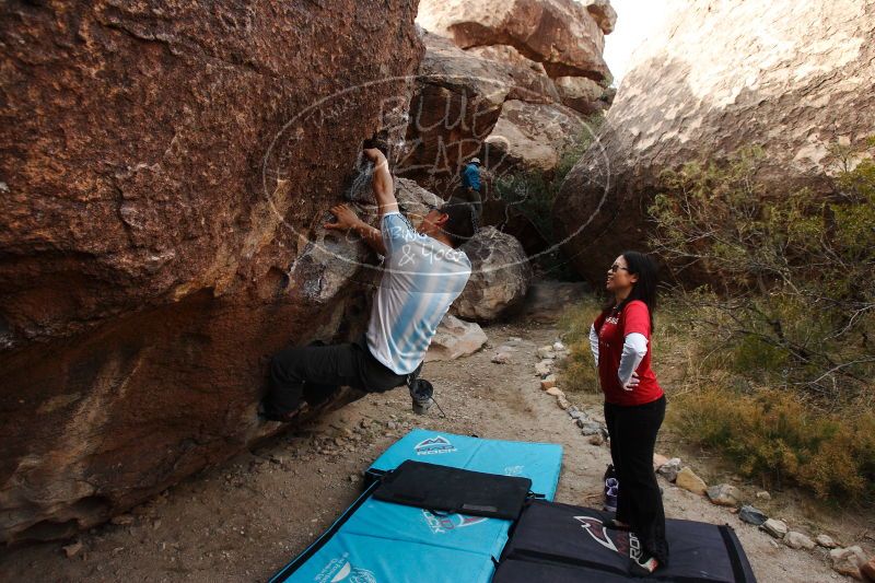 

Filename: SRM_20161228_1734041.jpg
Aperture: f/5.0
Shutter Speed: 1/320
Body: Canon EOS-1D Mark II
Lens: Canon EF 16-35mm f/2.8 L