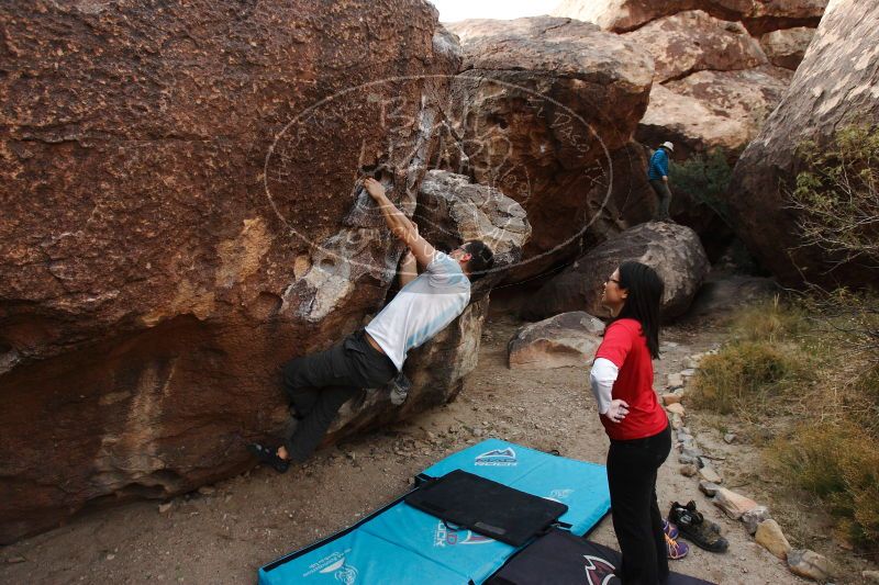 

Filename: SRM_20161228_1734060.jpg
Aperture: f/5.0
Shutter Speed: 1/320
Body: Canon EOS-1D Mark II
Lens: Canon EF 16-35mm f/2.8 L