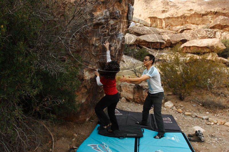 

Filename: SRM_20161228_1752490.jpg
Aperture: f/5.6
Shutter Speed: 1/320
Body: Canon EOS-1D Mark II
Lens: Canon EF 16-35mm f/2.8 L