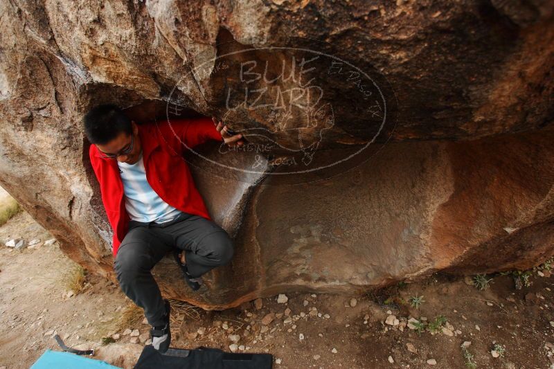 

Filename: SRM_20161228_1814070.jpg
Aperture: f/4.0
Shutter Speed: 1/200
Body: Canon EOS-1D Mark II
Lens: Canon EF 16-35mm f/2.8 L