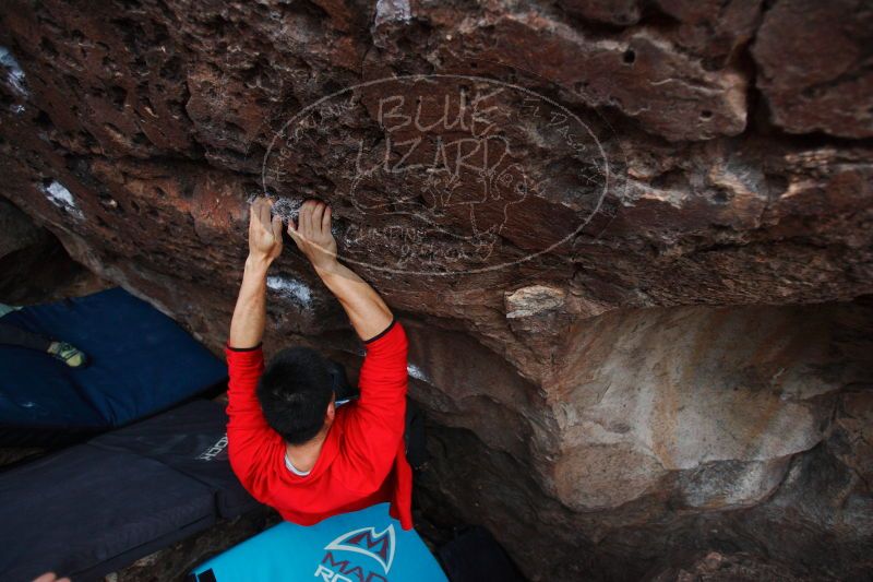 

Filename: SRM_20161228_1913021.jpg
Aperture: f/2.8
Shutter Speed: 1/100
Body: Canon EOS-1D Mark II
Lens: Canon EF 16-35mm f/2.8 L