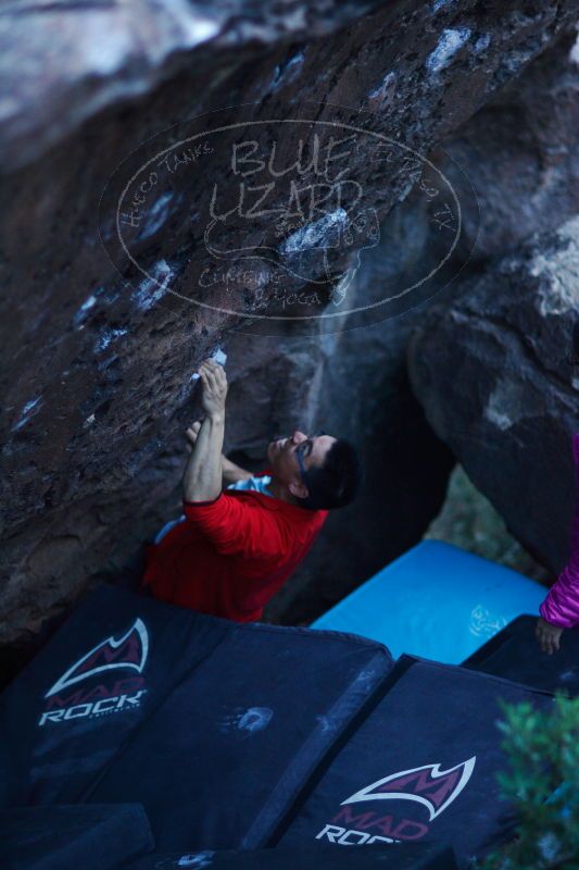 

Filename: SRM_20161228_1926190.jpg
Aperture: f/1.4
Shutter Speed: 1/160
Body: Canon EOS-1D Mark II
Lens: Canon EF 85mm f/1.2 L II