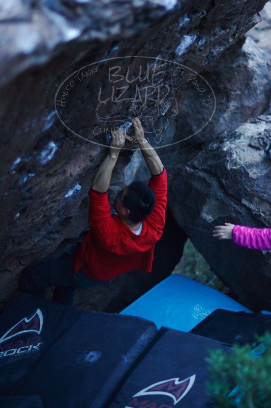 

Filename: SRM_20161228_1926250.jpg
Aperture: f/1.4
Shutter Speed: 1/160
Body: Canon EOS-1D Mark II
Lens: Canon EF 85mm f/1.2 L II